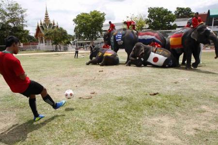 Watch schoolboys take on elephants 