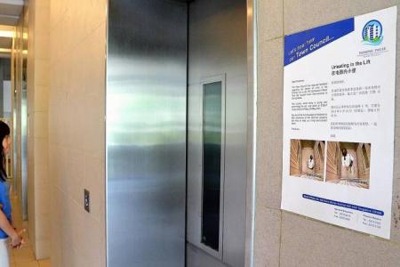 Woman peeing in Pinnacle lift caught on CCTV