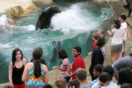 Singapore Zoo No 1 in Asia: TripAdvisor