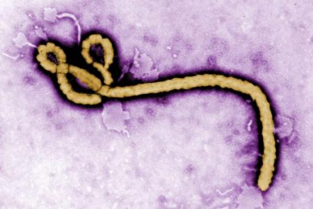 German medical student tested for ebola in Rwanda