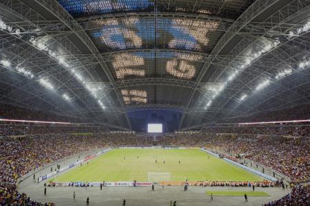 Sports Hub switching to natural turf for National Stadium