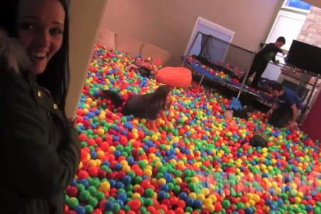 WATCH: Prankster fills house with plastic balls to surprise wife