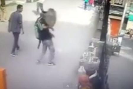 WATCH: Monkey drop-kicks tourist after rude gesture