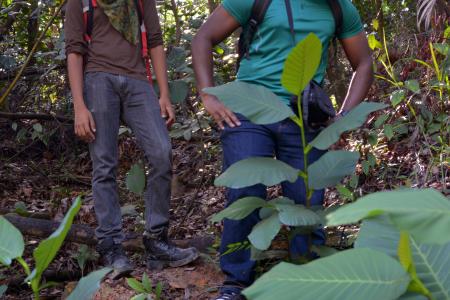 Netizens outraged at video of nature photographers hitting snake