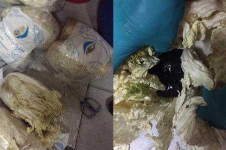 CNB seize 3.6kg of heroin stashed in cabbages