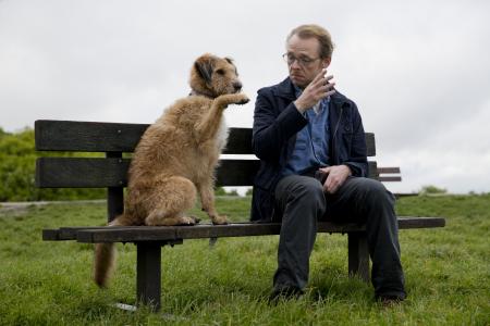 Movie Review: Absolutely Anything (NC16)