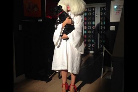 Sia takes bold step into movie directing 