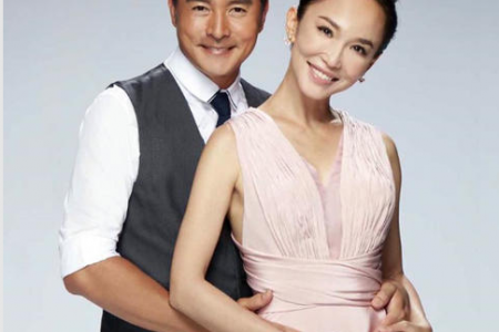 Is Fann Wong pregnant again?