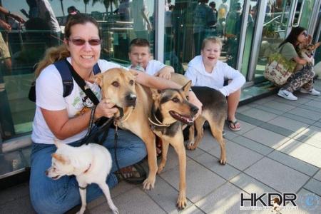 Woman wrestles 3m-long python to save dog's life