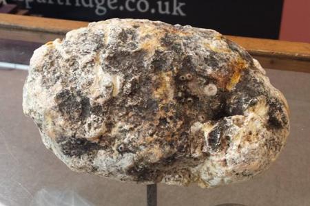This chunk of whale vomit cost more than $23,000