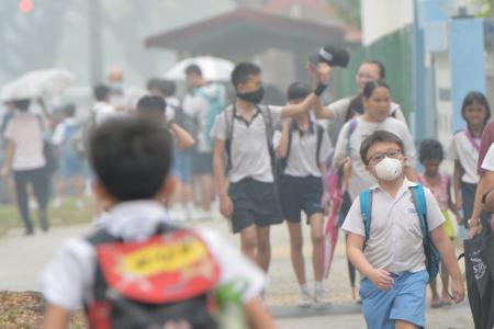 Singaporeans 'thank' Indonesia for clean air but...