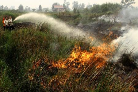 Indonesia will accept Singapore's offer to help fight haze