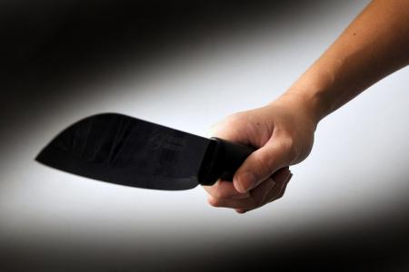 Jail for woman who swung knife at husband, brother-in-law 