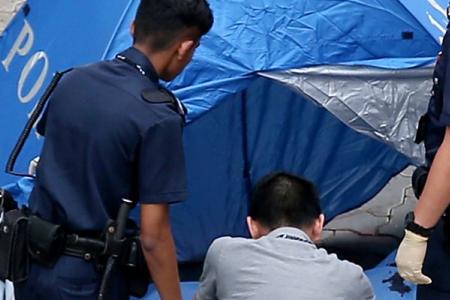 The Benjamin Lim case: What happened?