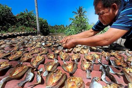 Dried fish, keropok sellers rejoice over Malaysia's high temperatures