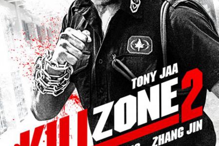 Poster Poser: Kill Zone 2