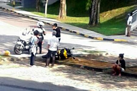 Actress Rui En's BMW hit car in earlier accident 