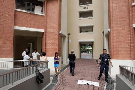 Yishun man pleads guilty to hurling cat from 13th storey