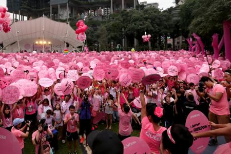 Foreigners can't sponsor Pink Dot: MHA