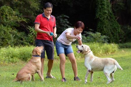 They are her K-9 heroes