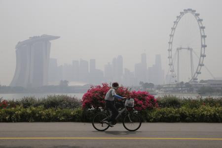 Study claims last year's haze killed 100,000 in the region