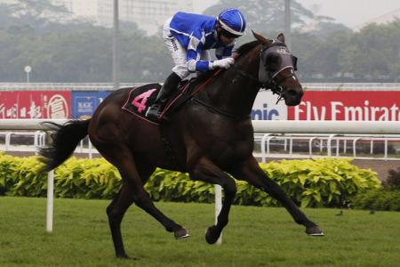 Kranji trackwork