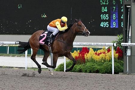Powell steers Wonderful to five in a row Yesterday&#039;s Kranji round-up