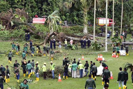 Botanic Gardens tragedy: She pulled her friend to safety