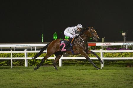 Alibi warms up for Lion City Cup with Boss on the reins