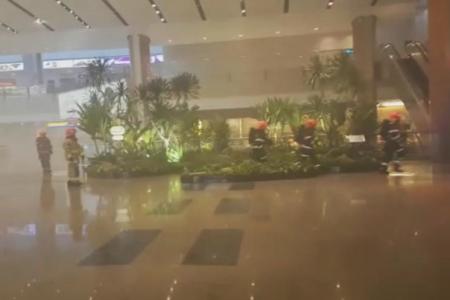Fire at Changi Airport causes significant delays
