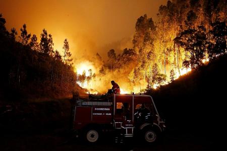 Raging fires in Portugal kill at least 62