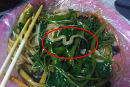Student finds snake in her noodles