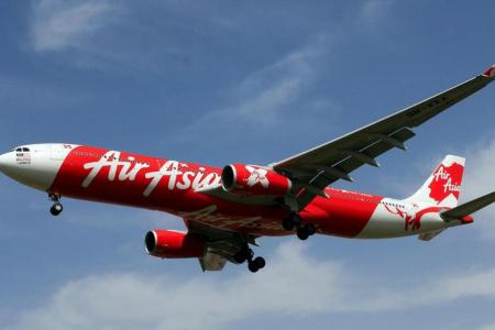 Bird strike grounds AirAsia flight
