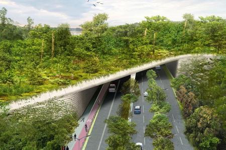 New Mandai wildlife crossing to be up by 2019 