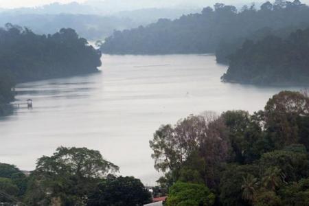 Jogger dies after heart attack at MacRitchie