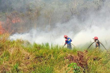 Jakarta warns of more fires in coming weeks