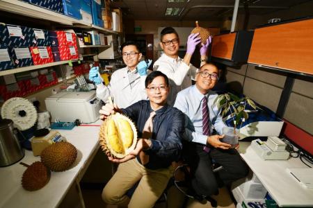 Scientists unearth genetic map of durian, set path for new species