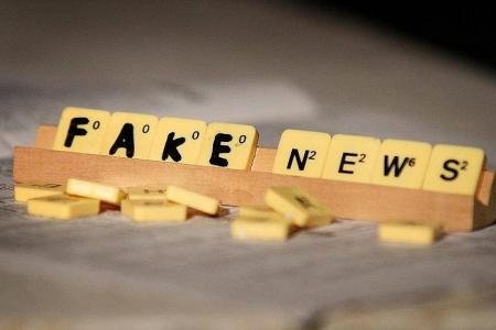 Schools join fight against fake news