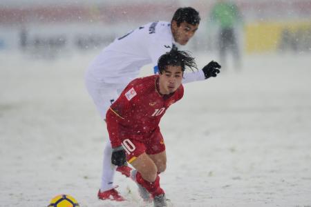 Brave Vietnam sunk by late goal in snow-hit final