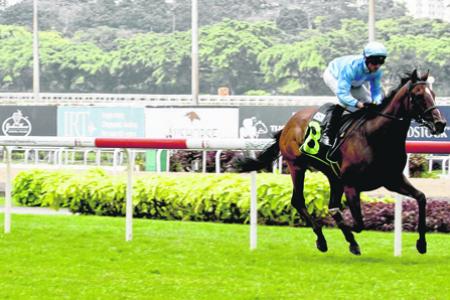 Two-from-two winner Quarter Back leaving his rivals stranded at Kranji on Sunday