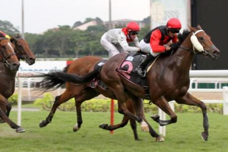 afaello (right) ending a lean spell with a solid victory in Race 9 at Kranji on Sunday. 