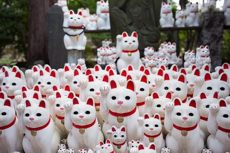 Tokyo ‘lucky cat’ Gotokuji temple a haven for social media mavens