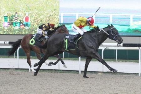 Kranji trackwork