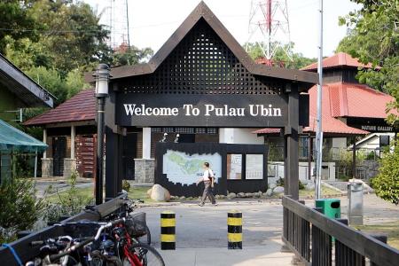 Keeping Pulau Ubin alive