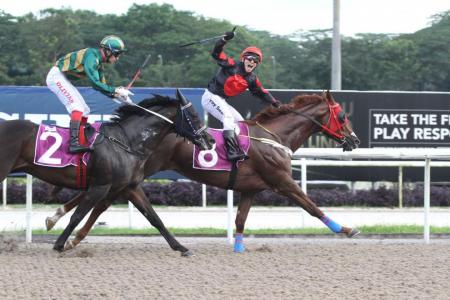 Maximus eyes New Year Cup