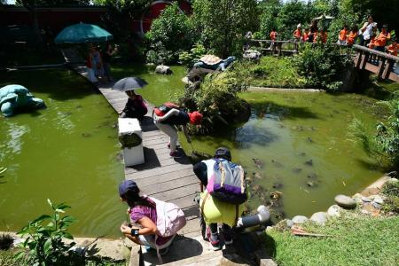 Chinese Garden turtle museum finds new home in Yishun