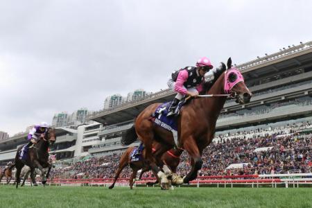 Beauty Generation again making it a one-horse race when taking the Group 1 Queen’s Silver Jubilee Cup over 1,400m at Sha Tin on Sunday. 