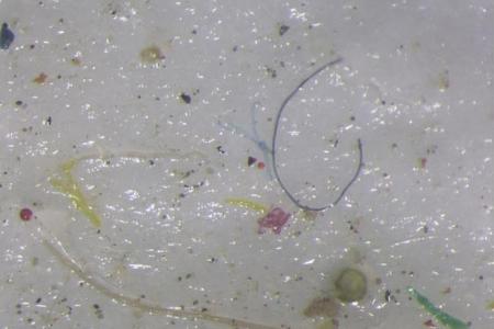 Scientists find microplastic in the Arctic