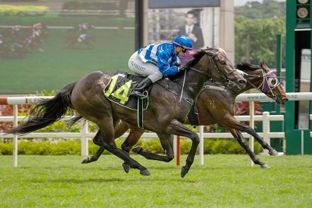 Shanti scores thrilling victory second-up
