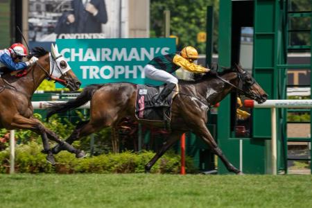Lion City Cup in Fame Star&#039;s sights
